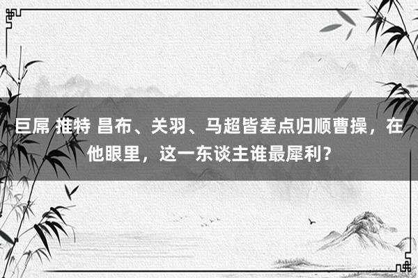 巨屌 推特 昌布、关羽、马超皆差点归顺曹操，在他眼里，这一东谈主谁最犀利？