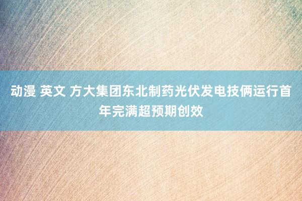 动漫 英文 方大集团东北制药光伏发电技俩运行首年完满超预期创效