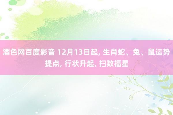 酒色网百度影音 12月13日起， 生肖蛇、兔、鼠运势提点， 行状升起， 扫数福星