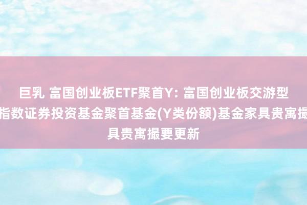 巨乳 富国创业板ETF聚首Y: 富国创业板交游型怒放式指数证券投资基金聚首基金(Y类份额)基金家具贵寓撮要更新