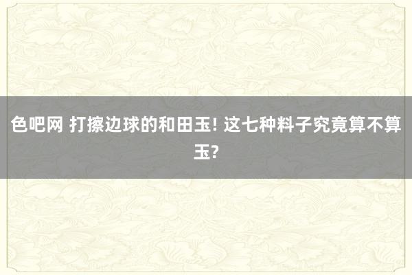 色吧网 打擦边球的和田玉! 这七种料子究竟算不算玉?