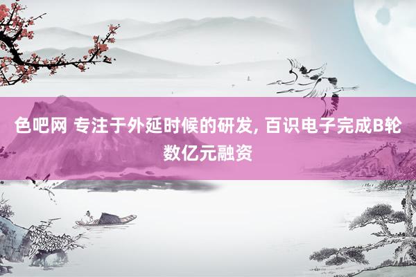 色吧网 专注于外延时候的研发， 百识电子完成B轮数亿元融资