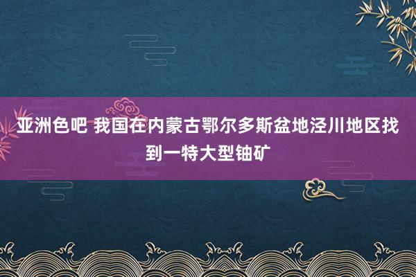 亚洲色吧 我国在内蒙古鄂尔多斯盆地泾川地区找到一特大型铀矿