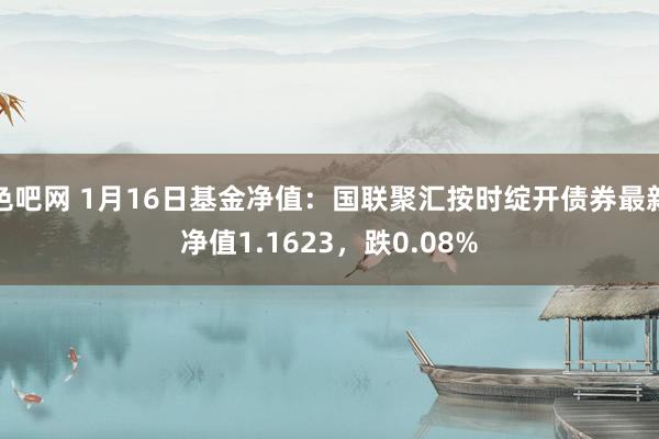 色吧网 1月16日基金净值：国联聚汇按时绽开债券最新净值1.1623，跌0.08%