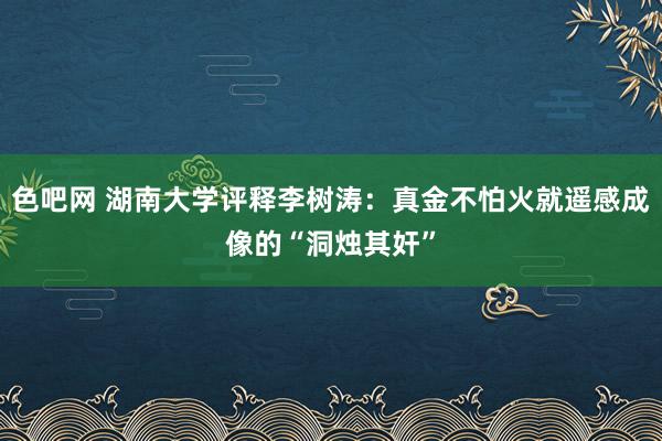 色吧网 湖南大学评释李树涛：真金不怕火就遥感成像的“洞烛其奸”