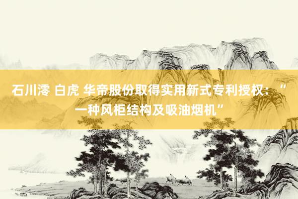 石川澪 白虎 华帝股份取得实用新式专利授权：“一种风柜结构及吸油烟机”