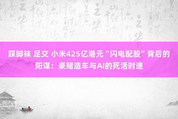 踩脚袜 足交 小米425亿港元“闪电配股”背后的阳谋：豪赌造车与AI的死活时速