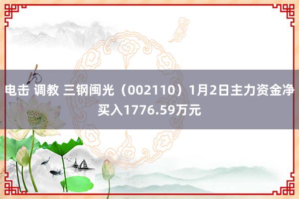 电击 调教 三钢闽光（002110）1月2日主力资金净买入1776.59万元