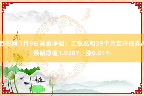 色吧网 1月9日基金净值：工银泰和39个月定开债券A最新净值1.0387，涨0.01%