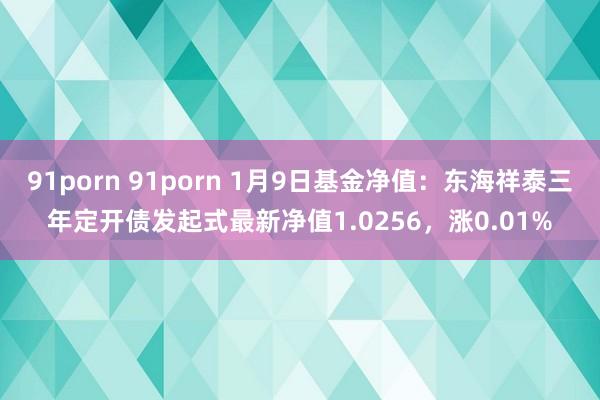 91porn 91porn 1月9日基金净值：东海祥泰三年定开债发起式最新净值1.0256，涨0.01%