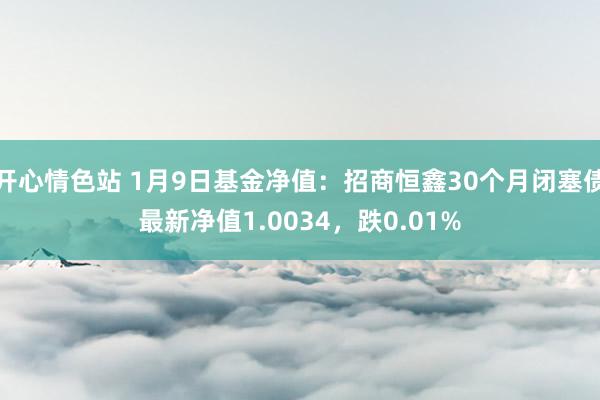 开心情色站 1月9日基金净值：招商恒鑫30个月闭塞债最新净值1.0034，跌0.01%