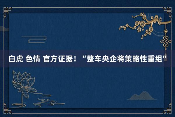 白虎 色情 官方证据！“整车央企将策略性重组”