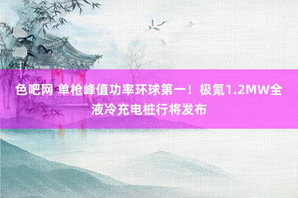 色吧网 单枪峰值功率环球第一！极氪1.2MW全液冷充电桩行将发布
