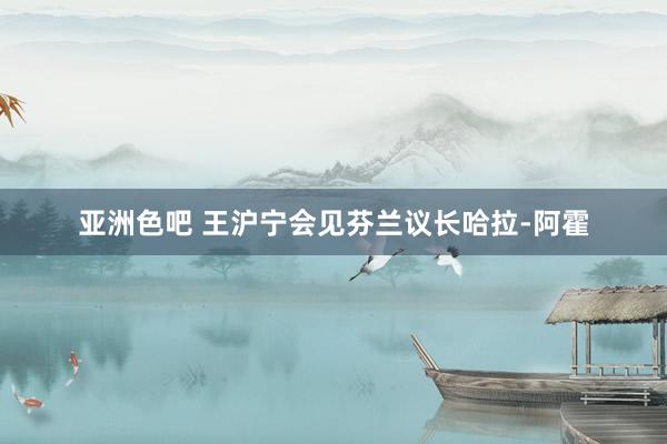 亚洲色吧 王沪宁会见芬兰议长哈拉-阿霍