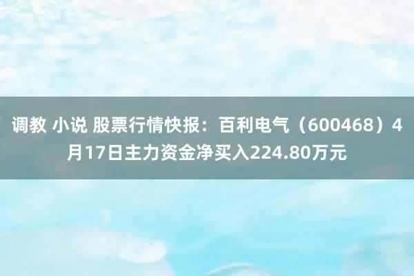 调教 小说 股票行情快报：百利电气（600468）4月17日主力资金净买入224.80万元