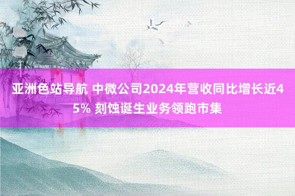 亚洲色站导航 中微公司2024年营收同比增长近45% 刻蚀诞生业务领跑市集