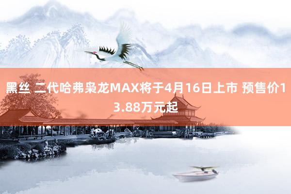黑丝 二代哈弗枭龙MAX将于4月16日上市 预售价13.88万元起