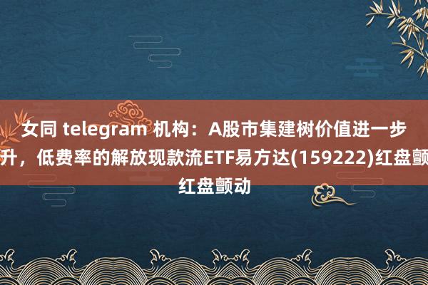 女同 telegram 机构：A股市集建树价值进一步抬升，低费率的解放现款流ETF易方达(159222)红盘颤动