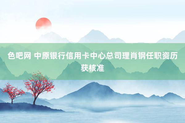 色吧网 中原银行信用卡中心总司理肖钢任职资历获核准