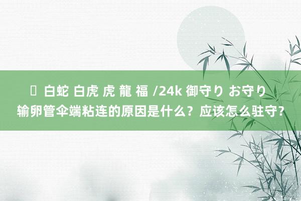 ✨白蛇 白虎 虎 龍 福 /24k 御守り お守り 输卵管伞端粘连的原因是什么？应该怎么驻守？
