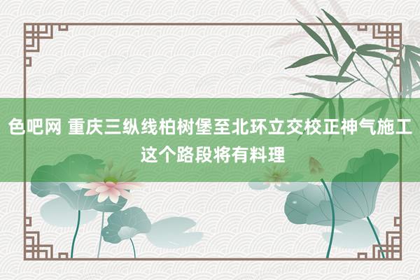 色吧网 重庆三纵线柏树堡至北环立交校正神气施工 这个路段将有料理