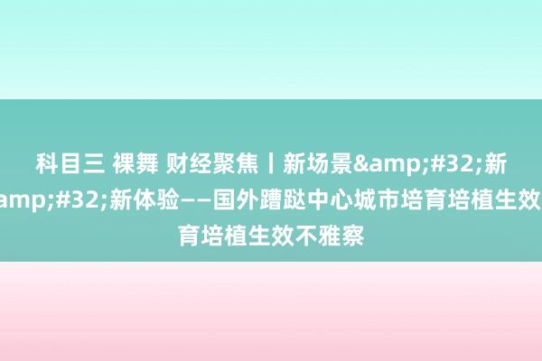科目三 裸舞 财经聚焦丨新场景&#32;新潮水&#32;新体验——国外蹧跶中心城市培育培植生效不雅察