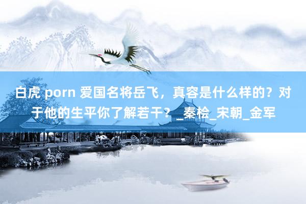 白虎 porn 爱国名将岳飞，真容是什么样的？对于他的生平你了解若干？_秦桧_宋朝_金军
