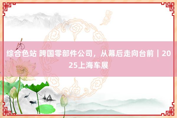 综合色站 跨国零部件公司，从幕后走向台前｜2025上海车展