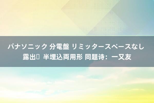 パナソニック 分電盤 リミッタースペースなし 露出・半埋込両用形 同题诗：一又友